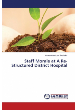 Staff Morale at a Re-Structured District Hospital