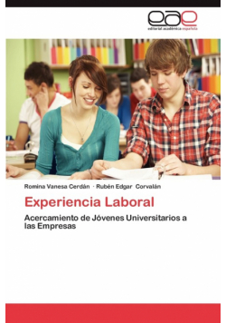 Experiencia Laboral