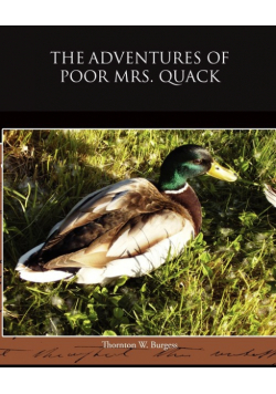 The Adventures of Poor Mrs Quack