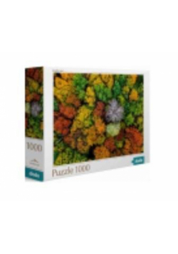 Puzzle 1000 Dzembronya village. Ukraine