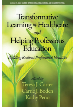 Transformative Learning in Healthcare and Helping Professions Education