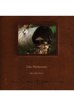 Like Mushrooms