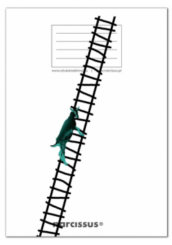 Zeszyt A5/60K kratka PP Fun Goat Ladder (4szt)