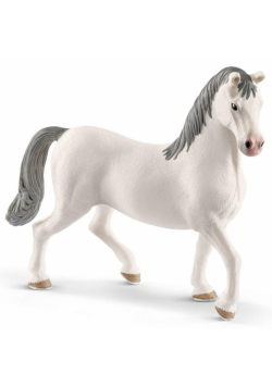 Ogier Lipizzaner