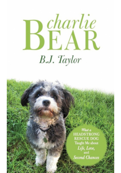 Charlie Bear