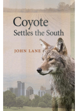 Coyote Settles the South