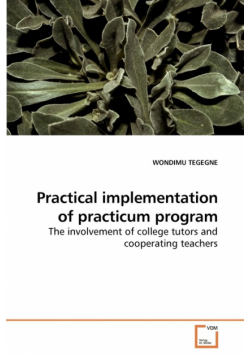 Practical implementation of  practicum program