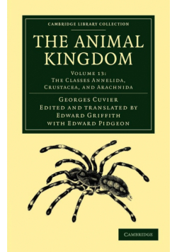 The Animal Kingdom - Volume 13