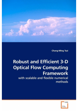 Robust and Efficient 3-D Optical Flow Computing  Framework