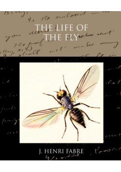 The Life of the Fly