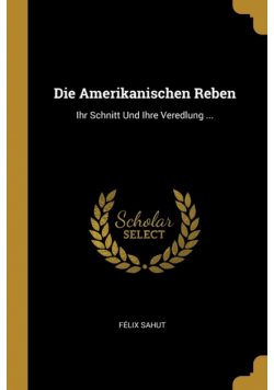 Die Amerikanischen Reben