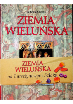 Ziemia wieluńska Skarby kultury i przyrody