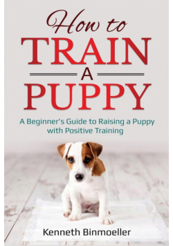 How to Train a Puppy