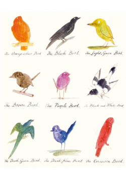 Karnet 17x14cm z kopertą Drawings of comic birds