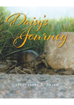 Daisy's Journey
