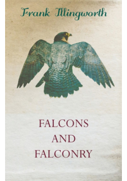 Falcons and Falconry