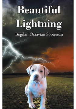 Beautiful Lightning