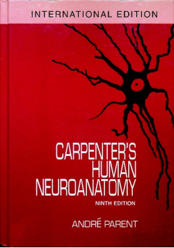 Carpenters Human Neuroanatomy