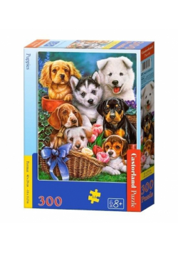 Puzzle 300 Puppies CASTOR