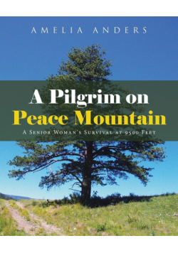 A Pilgrim on Peace Mountain