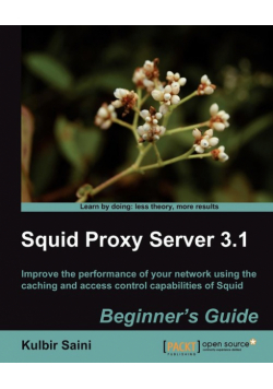 Squid Proxy Server 3.1