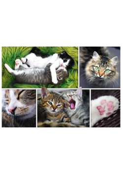 Puzzle 1500 Kocie sprawy Kolaż TREFL