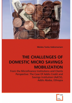 The Challenges Of Domestic Micro Savings Mobilization