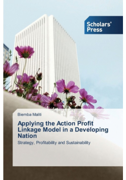 Applying the Action Profit Linkage Model in a Developing Nation