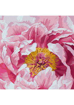 Malowanie po numerach - Kolorowa piwonia 40x40cm