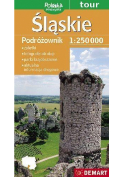 Polska niezwykła. Śląskie. 1:250 000 mapa