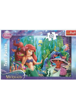 Puzzle 100 Zabawa w chowanego Princess Nowe
