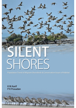 Silent Shores