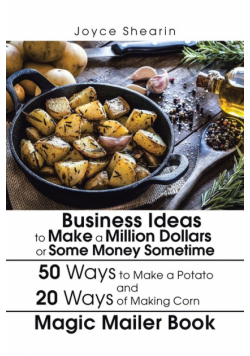 Business Ideas to Make a Million Dollars or Some Money Sometime