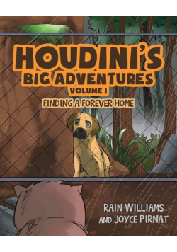 Houdini's Big Adventures