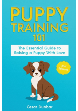 Puppy Training 101