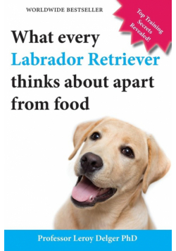 What Every Labrador Retriever Thinks about Apart from Food (Blank Inside/Novelty Book)