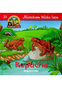 Mieszkam blisko lasu 20  Ropucha