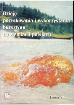 Dzieje pozyskiwania i wykorzystania bursztynu na ziemiach polskich