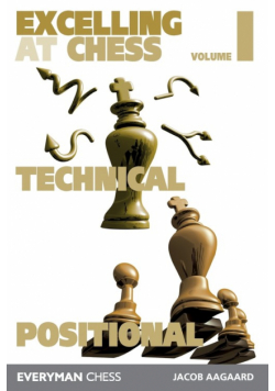 Excelling at Chess Volume 1. Technical and Positional