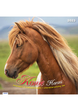 Kalendarz 2023 albumowy Konie KAD11