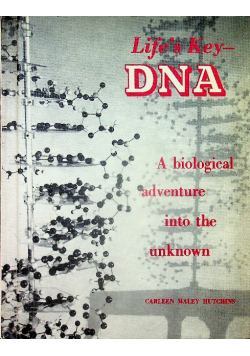 Lifes key DNA a biological adventure into the unknown