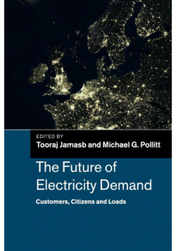 The Future of Electricity Demand