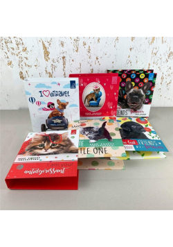 Segregator A5/2R Best Friend Collection mix