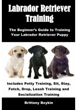 Labrador Retriever Training