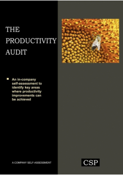 The Productivity Audit