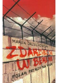 Zdarzyło się w Berlinie. Polak patrzy na mur