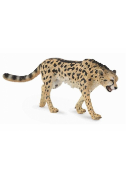 Gepard królewski L