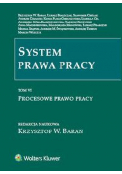System prawa pracy Tom 6