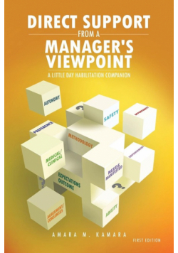 Direct Support from a Manager's Viewpoint