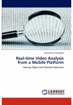 Real-Time Video Analysis from a Mobile Platform